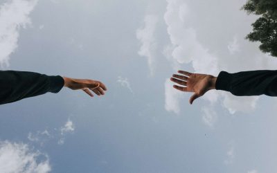 Rien ne disparaît jamais
