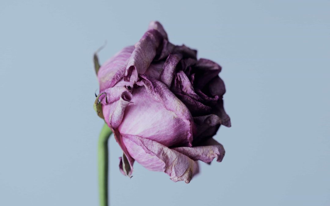 La blessure d’abandon