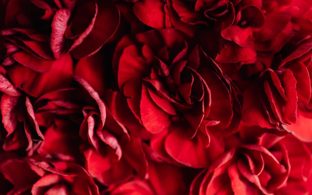 La passion amoureuse